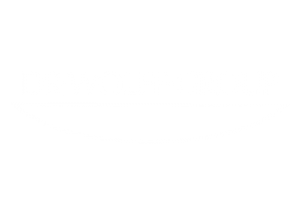Dr. Wolff Group